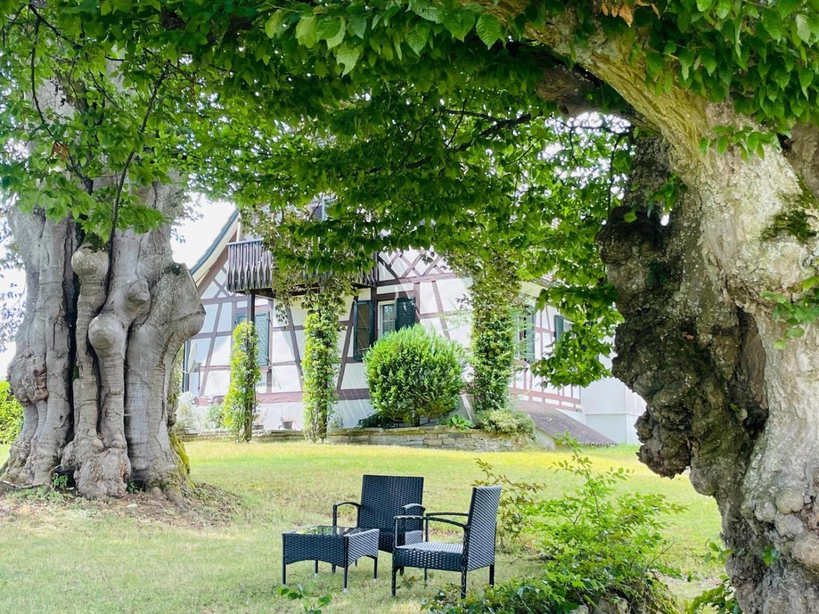 Appartement Villa Seeliebe Tägerwilen Exteriér fotografie